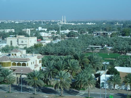 Al Ain Oasis
